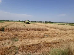 WhatsApp Image 2025-09-04 at 11.13.10.jpeg