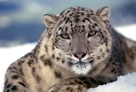 WhatsApp Image 2025-09-09 at 11.17.09.jpeg