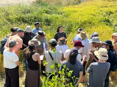 WhatsApp Image 2025-09-09 at 15.56.06.jpeg