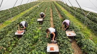 WhatsApp Image 2025-09-17 at 15.59.40.jpeg