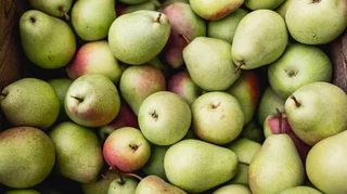 WhatsApp Image 2025-09-19 at 12.11.27.jpeg