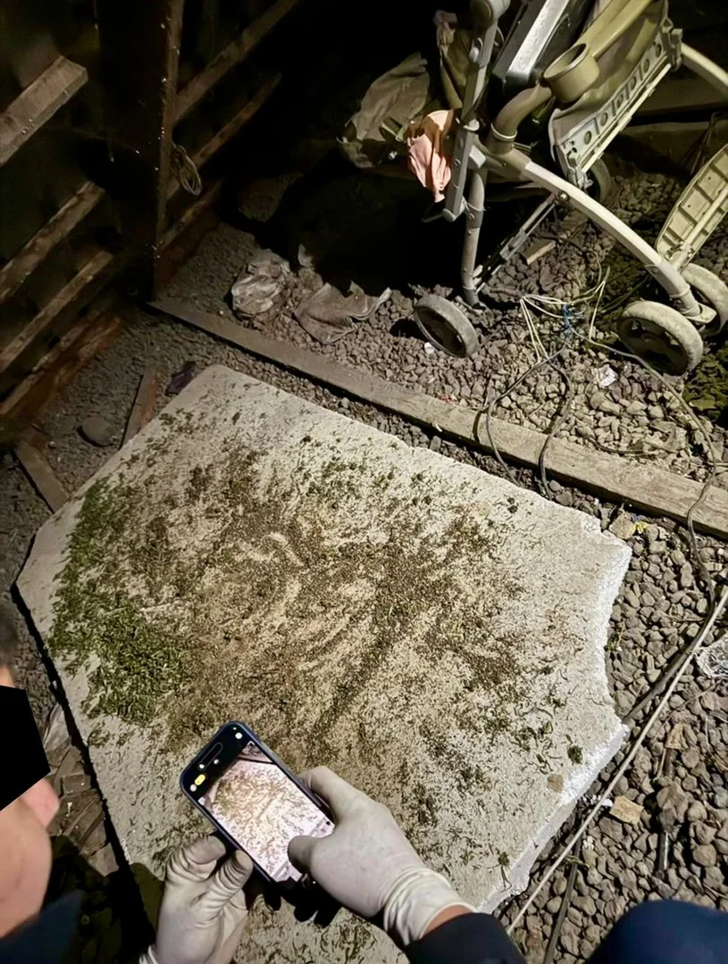 {{item.title }}