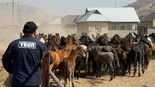 WhatsApp Image 2025-09-29 at 16.53.49.jpeg