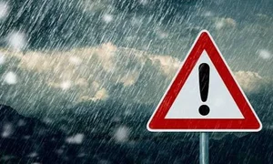 WhatsApp Image 2025-10-01 at 14.00.55.jpeg