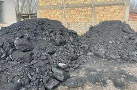 WhatsApp Image 2025-10-03 at 12.36.46.jpeg