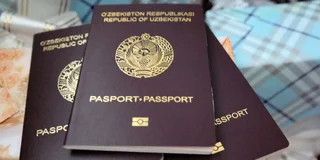 WhatsApp Image 2025-10-03 at 14.19.59.jpeg