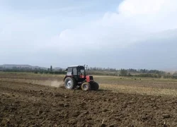 WhatsApp Image 2025-10-04 at 21.45.56.jpeg