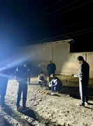 WhatsApp Image 2025-10-06 at 10.24.45 (1).jpeg