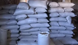 WhatsApp Image 2025-10-07 at 09.41.02.jpeg