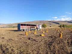 WhatsApp Image 2025-10-08 at 11.47.38 (1).jpeg