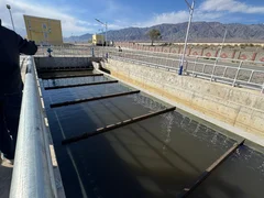 WhatsApp Image 2025-10-10 at 16.28.22 (3).jpeg