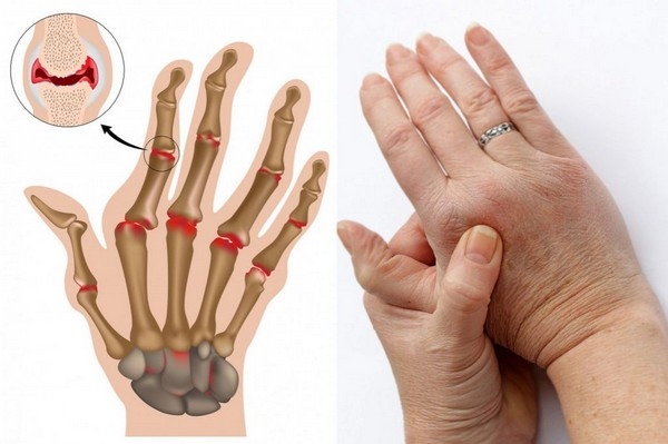 WhatsApp Image 2025-10-13 at 18.19.09 (1).jpeg