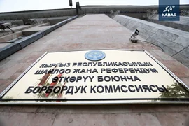 WhatsApp Image 2025-10-14 at 08.06.47.jpeg