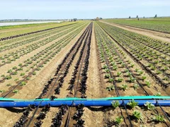 WhatsApp Image 2025-10-21 at 11.20.59.jpeg