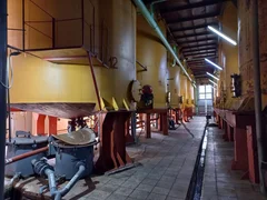 WhatsApp Image 2025-10-22 at 20.24.45.jpeg