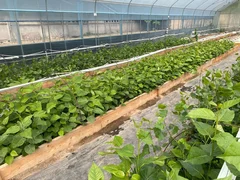 WhatsApp Image 2025-10-23 at 09.35.18.jpeg