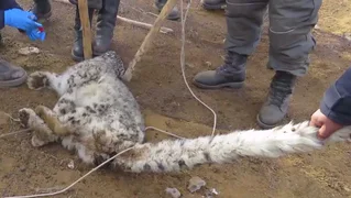 WhatsApp Image 2025-10-23 at 13.41.04.jpeg