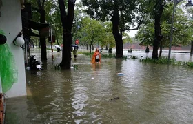 WhatsApp Image 2025-10-29 at 08.18.09.jpeg