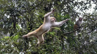 WhatsApp Image 2025-10-29 at 11.41.53.jpeg