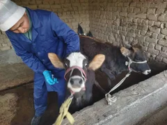 WhatsApp Image 2025-10-30 at 15.41.30 (1).jpeg