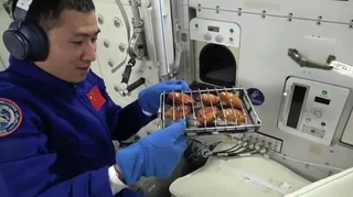 WhatsApp Image 2025-11-06 at 08.43.39.jpeg