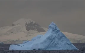 WhatsApp Image 2025-11-06 at 09.09.12.jpeg