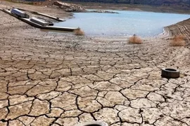 WhatsApp Image 2025-11-11 at 11.32.28.jpeg