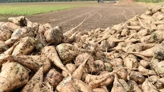 WhatsApp Image 2025-11-17 at 16.57.09.jpeg