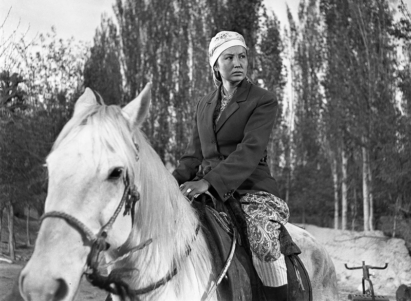 WhatsApp Image 2025-11-17 at 17.30.42.jpeg