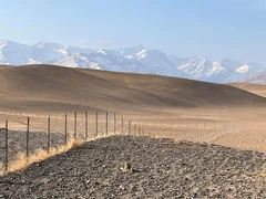 WhatsApp Image 2025-11-20 at 19.32.36.jpeg