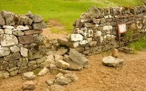 WhatsApp Image 2025-11-25 at 08.04.20.jpeg