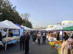 WhatsApp Image 2025-11-25 at 09.22.28 (1).jpeg