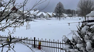 WhatsApp Image 2025-12-01 at 08.32.26.jpeg