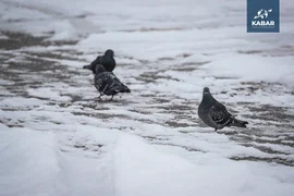 WhatsApp Image 2025-12-10 at 11.57.26 (1).jpeg