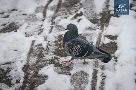 WhatsApp Image 2025-12-10 at 11.57.27 (1).jpeg