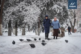 WhatsApp Image 2025-12-10 at 14.57.29.jpeg