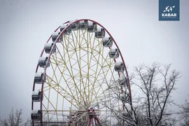 WhatsApp Image 2025-12-10 at 14.57.31.jpeg