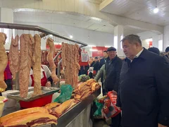 WhatsApp Image 2025-12-12 at 10.35.27.jpeg