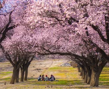 WhatsApp Image 2025-12-12 at 18.33.01.jpeg