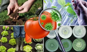 WhatsApp Image 2025-12-17 at 10.38.25.jpeg