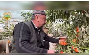 WhatsApp Image 2025-12-17 at 11.13.26 (4).jpeg