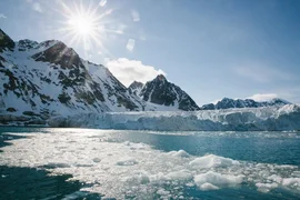 WhatsApp Image 2025-12-19 at 09.22.50.jpeg