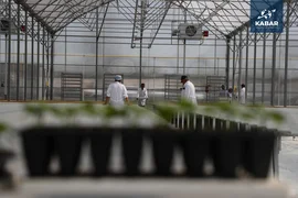 WhatsApp Image 2025-12-22 at 15.04.44.jpeg