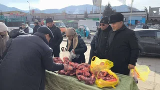 WhatsApp Image 2025-12-23 at 09.07.29.jpeg