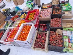 WhatsApp Image 2025-12-23 at 14.13.03.jpeg