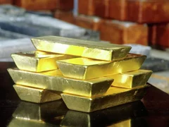 WhatsApp Image 2025-12-24 at 08.24.22.jpeg