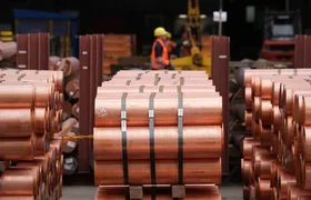 WhatsApp Image 2025-12-24 at 08.22.36.jpeg