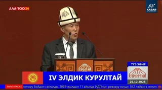 WhatsApp Image 2025-12-25 at 17.13.31.jpeg