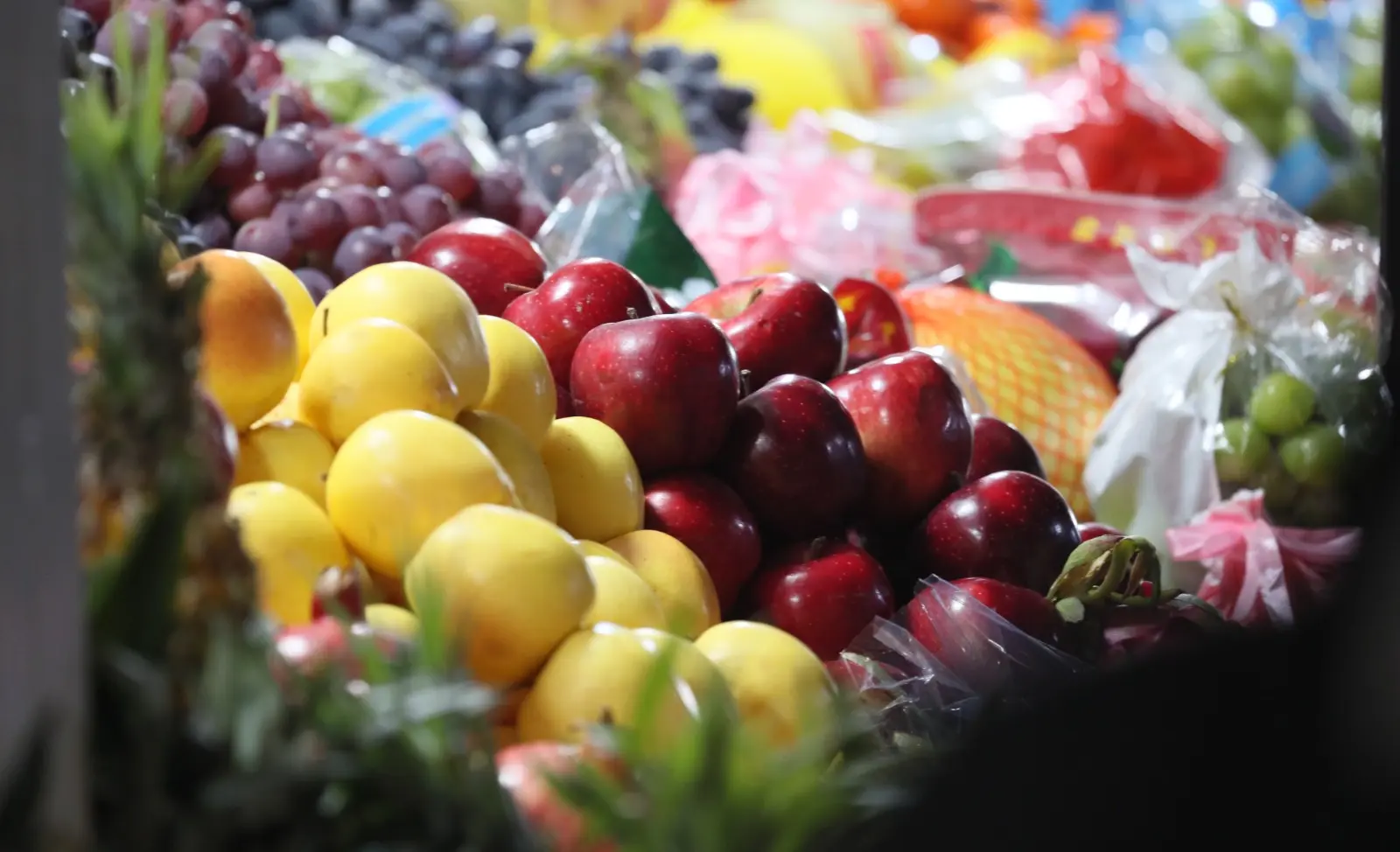 WhatsApp Image 2025-01-30 at 13.57.20.jpeg