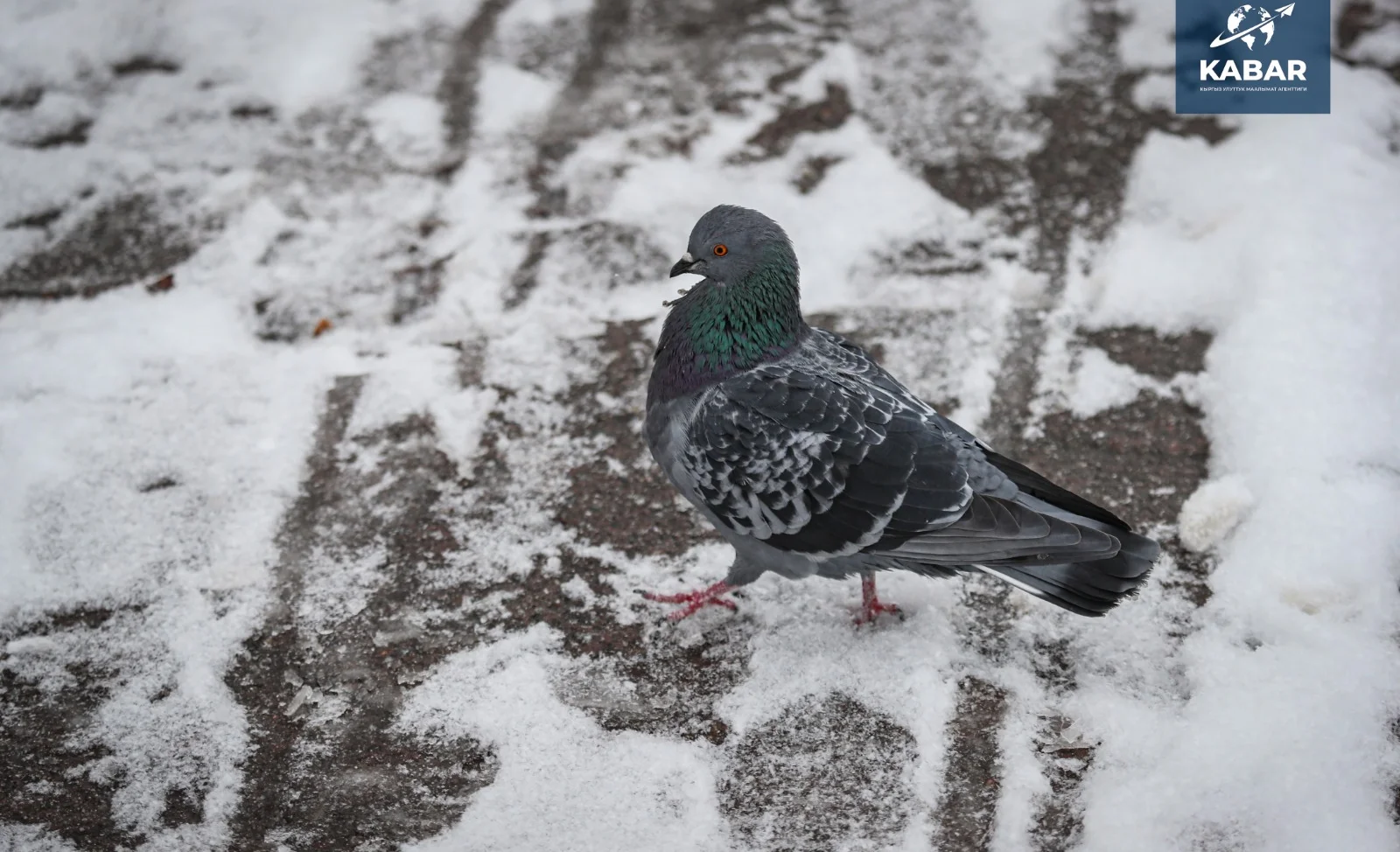 WhatsApp Image 2025-12-10 at 11.57.27 (1).jpeg